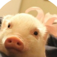 ���µ�С���i/Ⱥ����